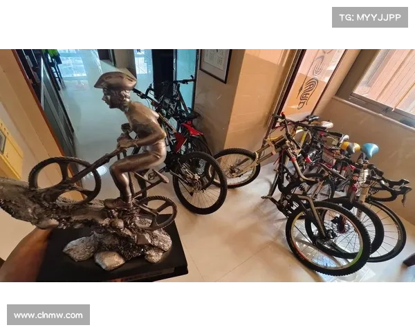 自行车定车是什么意思